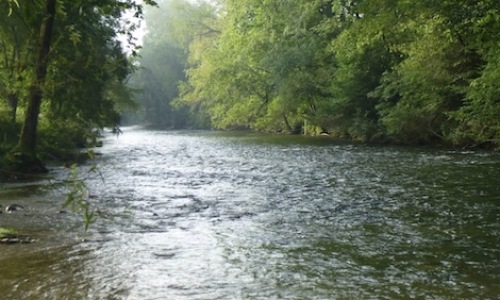 Beer City Tubing